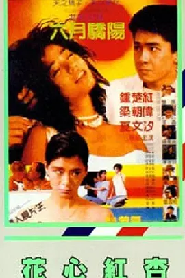 新婚夫妇的一天